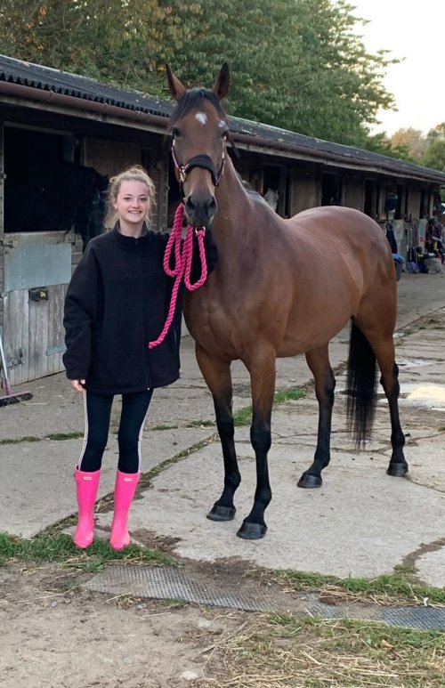 My first horse - Sky