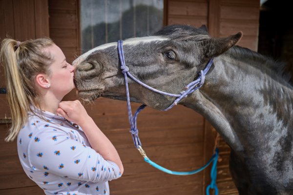 Horse Riding Competitions